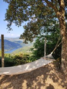 a hammock hanging from a tree on a hill at Paraíso Hills - Encostas do Paraíso: tranquilidade no Douro in Resende