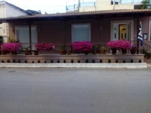 a building with potted plants and flowers on a balcony at House Fox in Iraklitsa