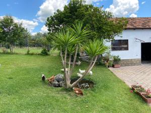 a group of chickens in a yard next to a palm tree at A Casa di nonna Emilia in Campagna