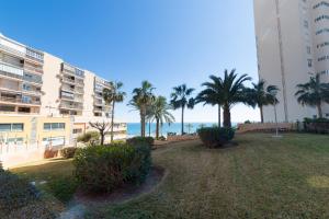 een tuin met palmbomen en een gebouw en de oceaan bij Moonkey - Apartamento Las Lanzas in El Campello