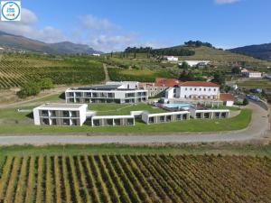 an aerial view of a house in a vineyard at Douro Scala in Mesão Frio