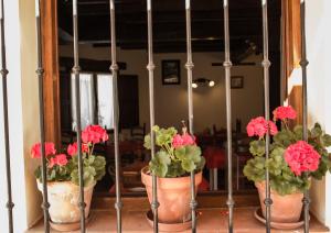 drie potplanten met rode bloemen voor een spiegel bij Pasaje San Jorge in Comillas