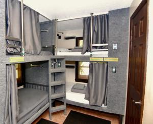 Pokój z 3 łóżkami piętrowymi i drzwiami w obiekcie Sheridan Hostel w mieście Dania Beach