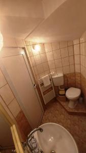 a small bathroom with a toilet and a sink at Vitosha Guest House in Devin +14 photos