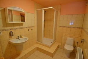 a bathroom with a sink and a toilet and a shower at Penzion "U Krkovičky" in Brtníky