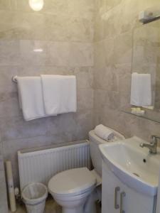 a bathroom with a white toilet and a sink at Lettermore 1 Apartment in Rathdrum