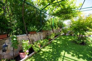 Gallery image of Guest house Blagaj in Blagaj +54 photos