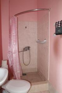 a bathroom with a shower with a toilet and a sink at Hotel Kings Zatoka in Zatoka +23 photos