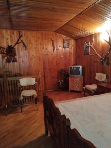 uma sala de estar com paredes de madeira e uma televisão em Domik s saunoy na Ogiyenko em Kamianets-Podilskyi