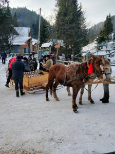 Hosté ubytování Zatishok Bilya Richky