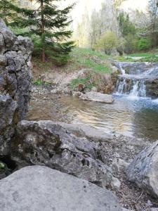 Príroda v okolí apartmánu