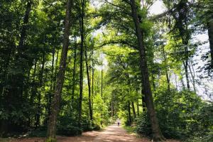 Imagen de la galería de -TheUrbanist-, en Berna