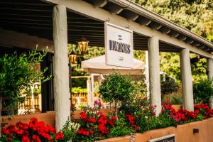A garden outside Dominoes Corfu