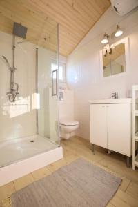 a bathroom with a glass shower and a toilet at Pogodne Domki in Darłowo