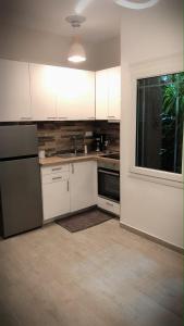 Η κουζίνα ή μικρή κουζίνα στο The green apartment