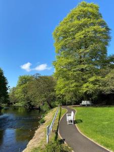 un camino junto a un río con un banco en Leighinmohr House Hotel en Ballymena