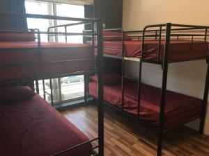 a group of bunk beds in a room at Youth Shack Backpackers Darwin in Darwin