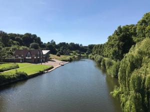 Imagen de la galería de Primrose, en Shrewsbury