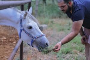 um homem alimentando um cavalo branco um monte de grama em The Ranch em Kfar Hazîr