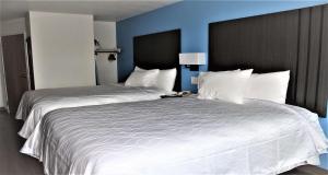 Postel nebo postele na pokoji v ubytování SureStay Plus Hotel by Best Western Niagara Falls East