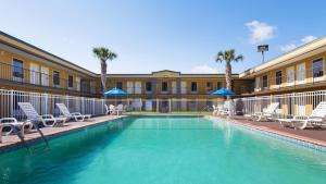una piscina en un hotel con sillas y palmeras en Best Western Of Walterboro en Walterboro