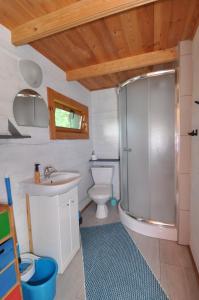 un bagno con doccia, WC e lavandino di Domki Irka nad morzem a Łeba Altre 31 foto