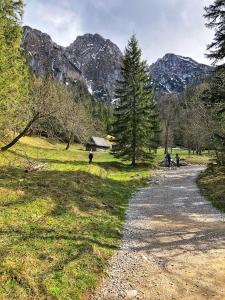 un camino de grava en un campo con montañas en el fondo en Willa Swoboda Garden Spa, en Zakopane