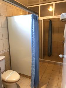 y baño con ducha y aseo. en 星辰庭園汽車旅館 en Douliu