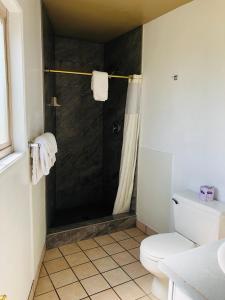 a bathroom with a shower and a white toilet at Motel Garberville in Garberville