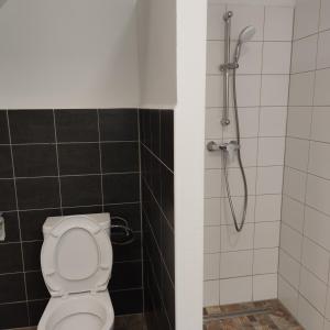 Kúpeľňa v ubytovaní Apartmán Špacír