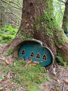 a tree with a blue house in the base of a tree at Glanleam House in Valentia Island +42 photos