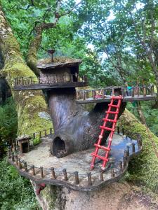 a tree house on a tree with a red ladder at Glanleam House in Valentia Island