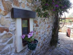 Fotografie z fotogalerie ubytování La Casina de Abo v destinaci El Manto