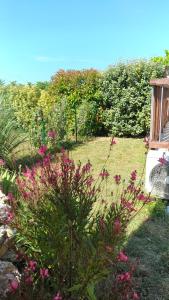 Orgnac-lʼAvenにあるGite Bardelleの庭のピンクの花々