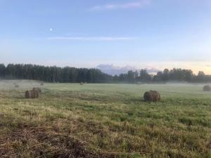 Przyroda w pobliżu tego domu wakacyjnego