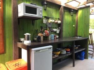 a kitchen with green walls and a microwave and a refrigerator at Camping Zanzibāra in Ķekava
