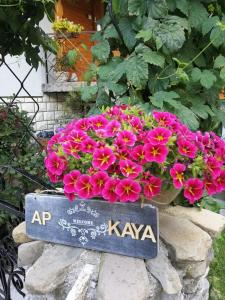 a pot of pink flowers on top of a stone wall at Apartment KAYA in Mojstrana