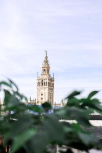un edificio alto con una torre de reloj en el fondo en AlohaMundi Catedral, en Sevilla
