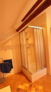 Kleingießhübel的住宿－Ferienwohnungen Hering，浴室里设有玻璃门淋浴