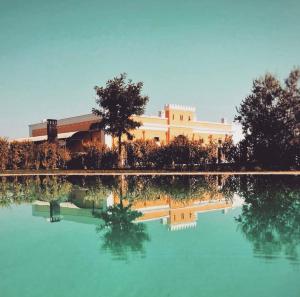 The swimming pool at or close to Tenuta Orsanese