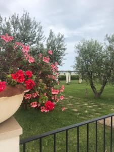A garden outside Tenuta Orsanese