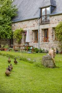 a group of ducks in the grass in front of a house at Normandy Inn in Montbray