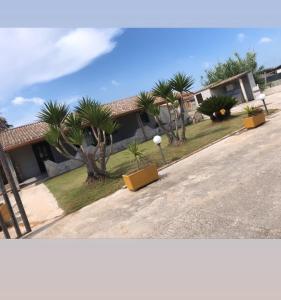 zwei Bilder eines Hauses mit Palmen davor in der Unterkunft Villa Floridia in Santa Maria Del Focallo