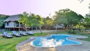 Bazén v ubytování Garden Route Safari Camp nebo v jeho okolí