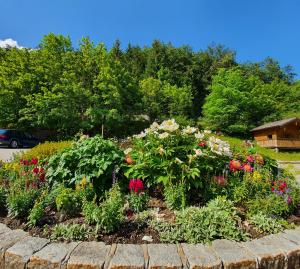 Zahrada ubytování Hotel-Gasthof Mauthäusl