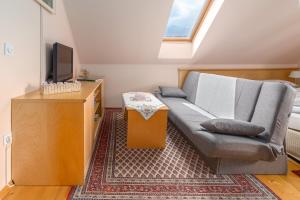 TV a/nebo společenská místnost v ubytování Apartment Jakovc