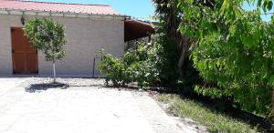 A garden outside Pension Nychterida