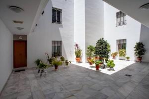 Vonkajšia záhrada v ubytovaní Sanlucar Misericordia Centro