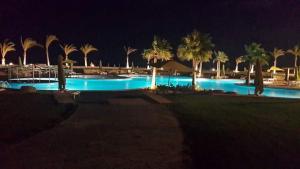 a large swimming pool with palm trees at night at Apartment in Lazordy Bay in El Alamein