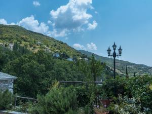 a view of a mountain from a garden at To Stefani tis Makrinas in Makrinítsa